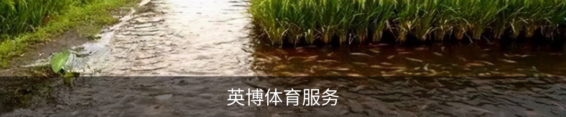 英博体育服务
